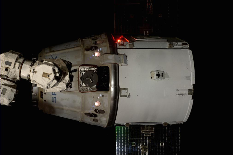 Illustration for article titled The SpaceX Dragon Splashes Down With Moustronauts And Arugula